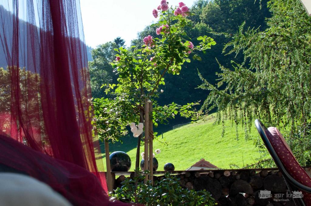 B&B Haus Zur Krone Oberriet Екстериор снимка